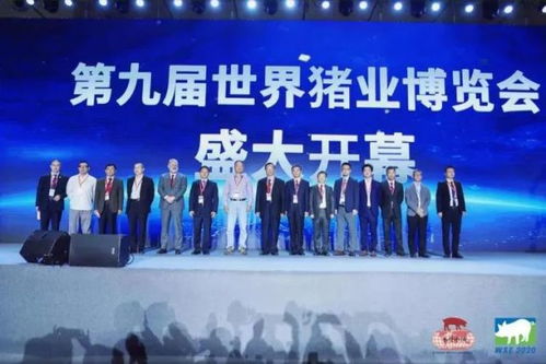 沈阳伟嘉 以精准技术洞察驱动卓越网络服务